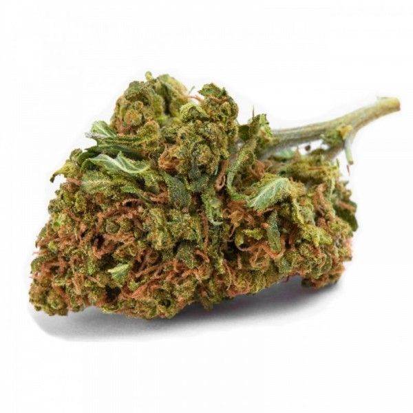 AK47 GREENHOUSE