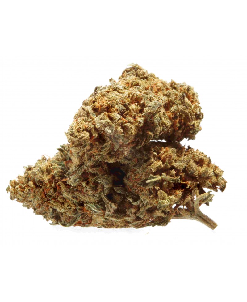 CANNATONIC OUTDOOR