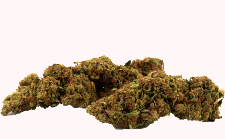 SUPER LEMON HAZE INDOOR