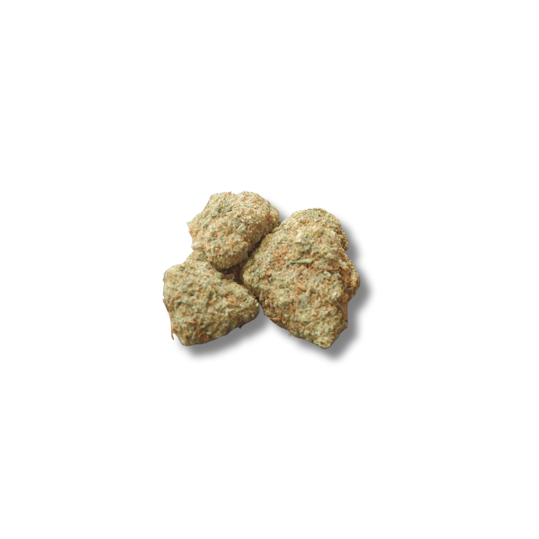 JACK HERRER INDOOR