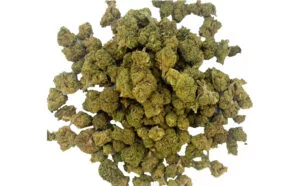 Mini Buds AK 47