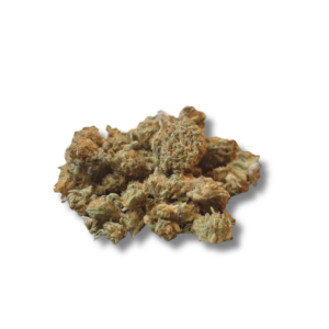 WATERMELON OUTDOOR